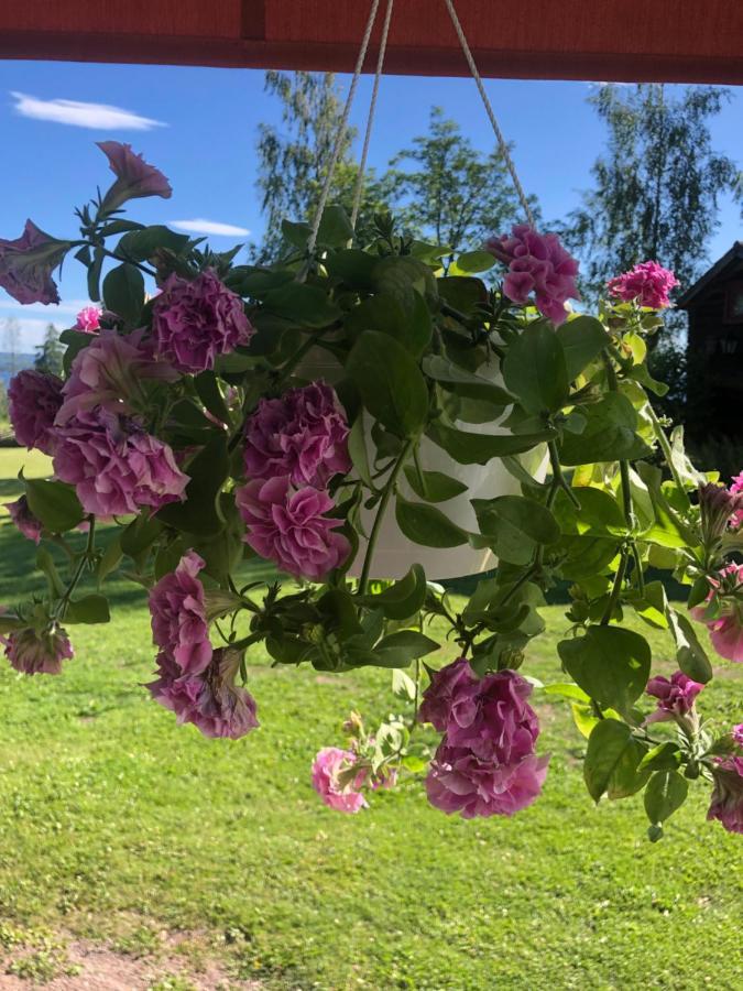 Mysigt Boende I Raettvik Med Utsikt Oever Siljan Kültér fotó